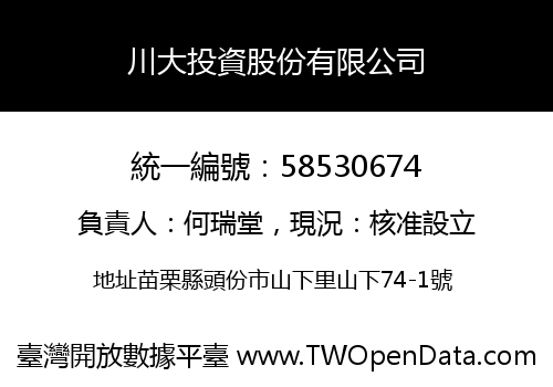 川大投資股份有限公司