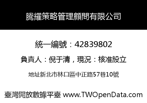 騰耀策略管理顧問有限公司