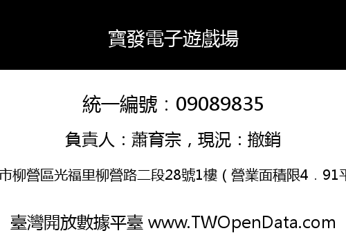 寶發電子遊戲場