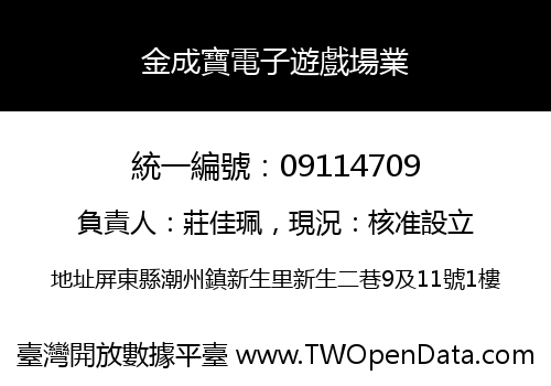 金成寶電子遊戲場業