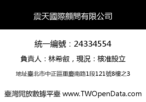 震天國際顧問有限公司