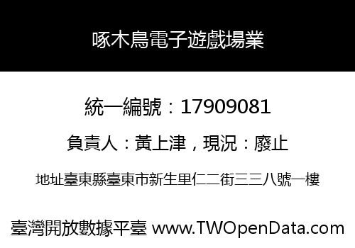 啄木鳥電子遊戲場業