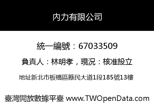 內力有限公司