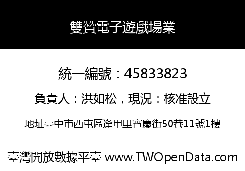 雙贊電子遊戲場業