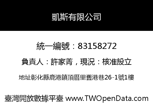凱斯有限公司