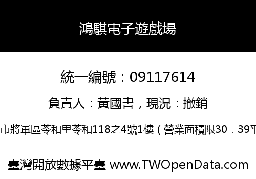 鴻騏電子遊戲場