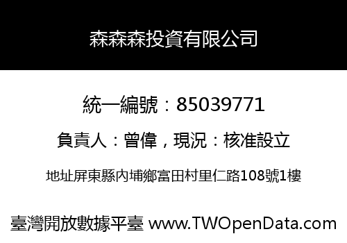 森森森投資有限公司