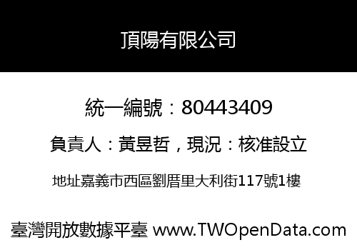 頂陽有限公司