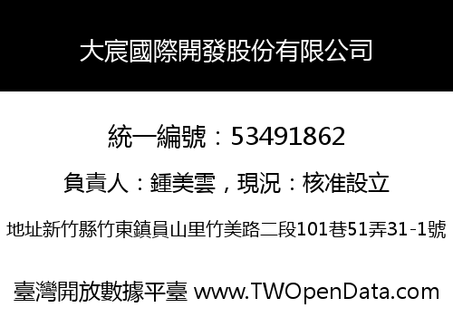 大宸國際開發股份有限公司
