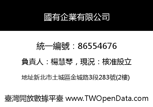 國有企業有限公司