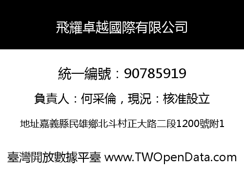 飛耀卓越國際有限公司