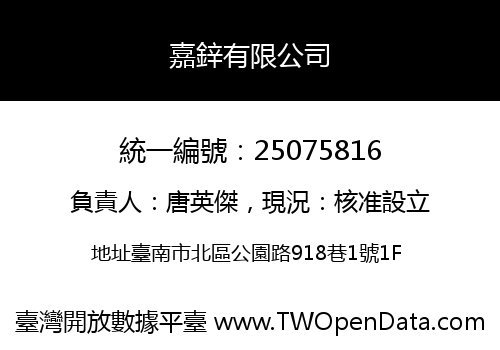 嘉鋅有限公司