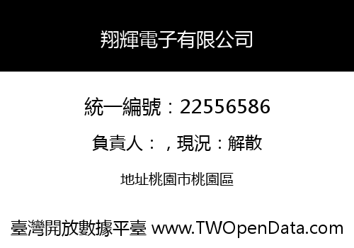翔輝電子有限公司