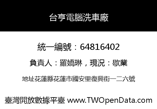 台亨電腦洗車廠