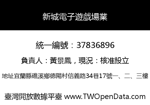 新城電子遊戲場業