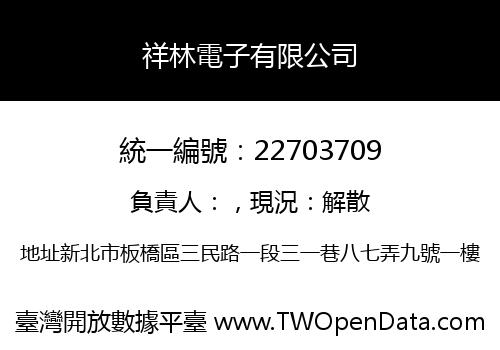 祥林電子有限公司