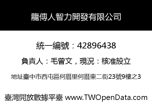 龍傳人智力開發有限公司