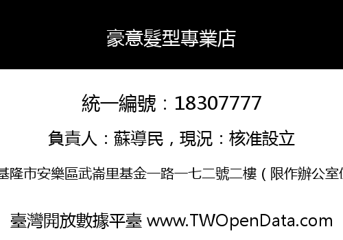 豪意髮型專業店