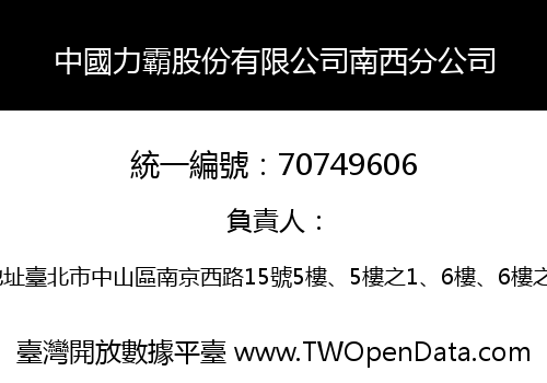 中國力霸股份有限公司南西分公司