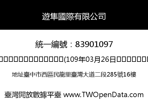 遊隼國際有限公司