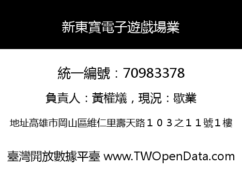新東寶電子遊戲場業