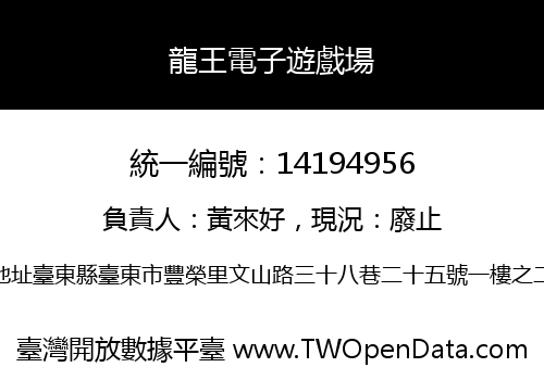 龍王電子遊戲場