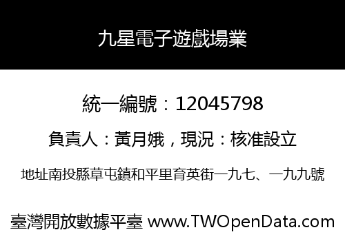 九星電子遊戲場業
