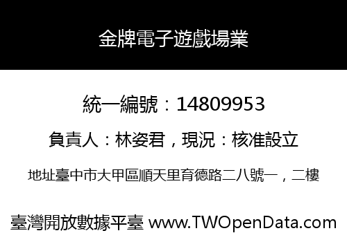 金牌電子遊戲場業