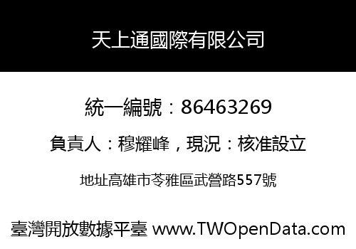 天上通國際有限公司