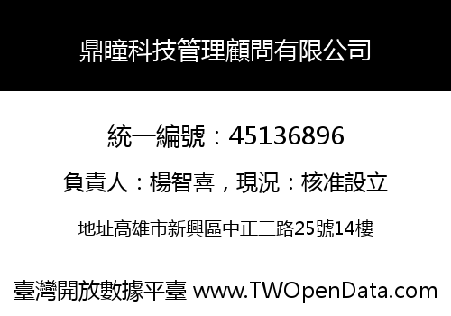 鼎瞳科技管理顧問有限公司