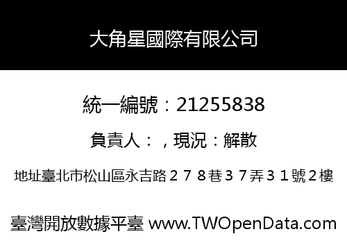大角星國際有限公司