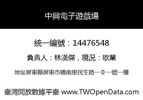 中興電子遊戲場