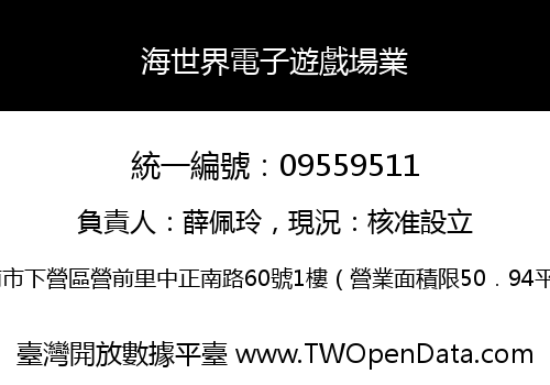海世界電子遊戲場業