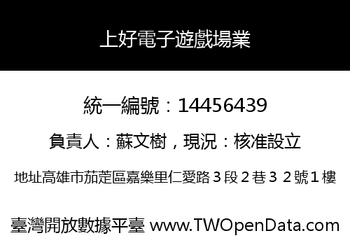 上好電子遊戲場業