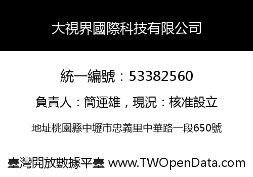 大視界國際科技有限公司
