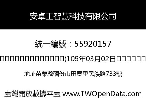 安卓王智慧科技有限公司