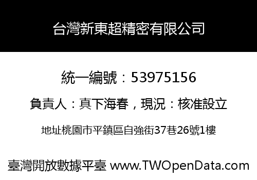 台灣新東超精密有限公司