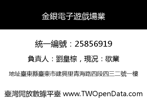 金銀電子遊戲場業