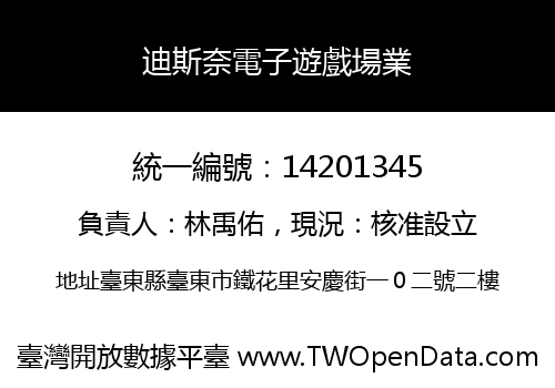 迪斯奈電子遊戲場業