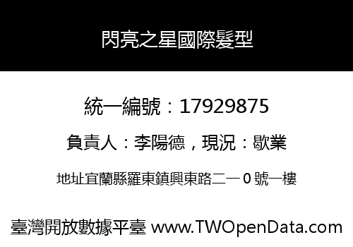 閃亮之星國際髮型