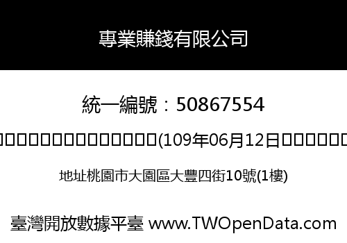 專業賺錢有限公司