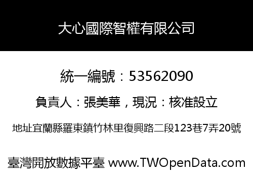 大心國際智權有限公司