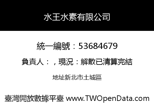 水王水素有限公司