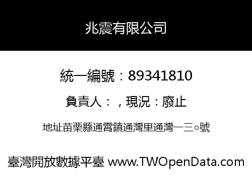 兆震有限公司