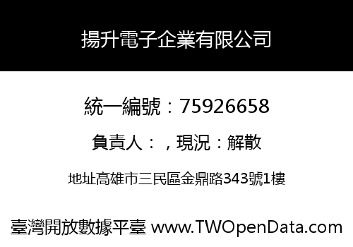 揚升電子企業有限公司