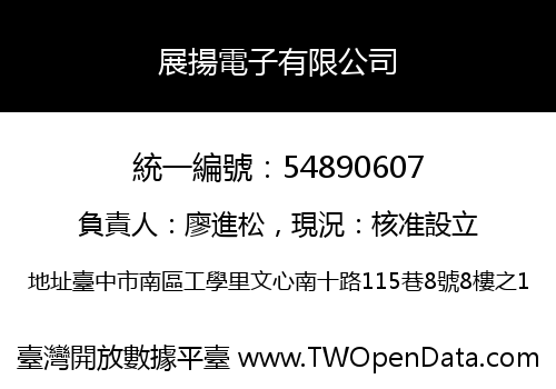 展揚電子有限公司
