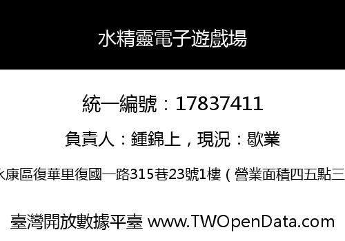水精靈電子遊戲場