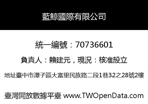 藍鯨國際有限公司