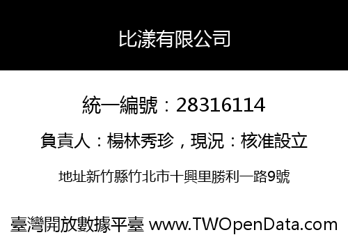 比漾有限公司