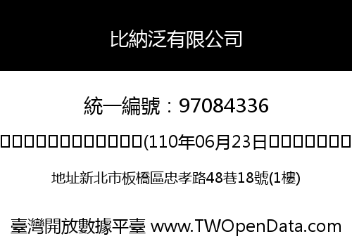 比納泛有限公司